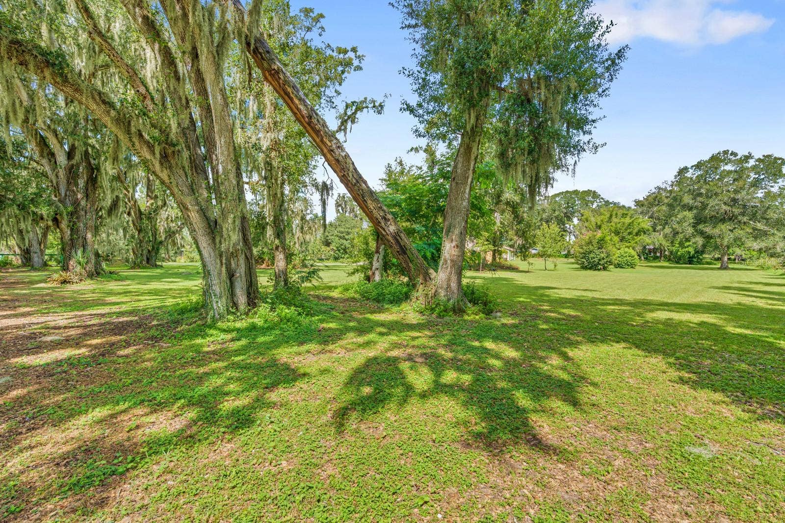1435 CHERRY LANE, Lakeland, FL 33811 1435 CHERRY LANE, Lakeland, FL 33811