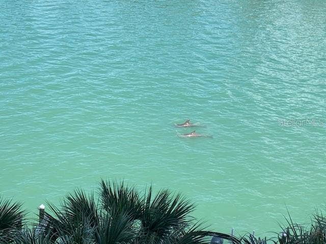 9495 BLIND PASS ROAD, #504, St Pete Beach, FL 33706 balcony dolphin watching