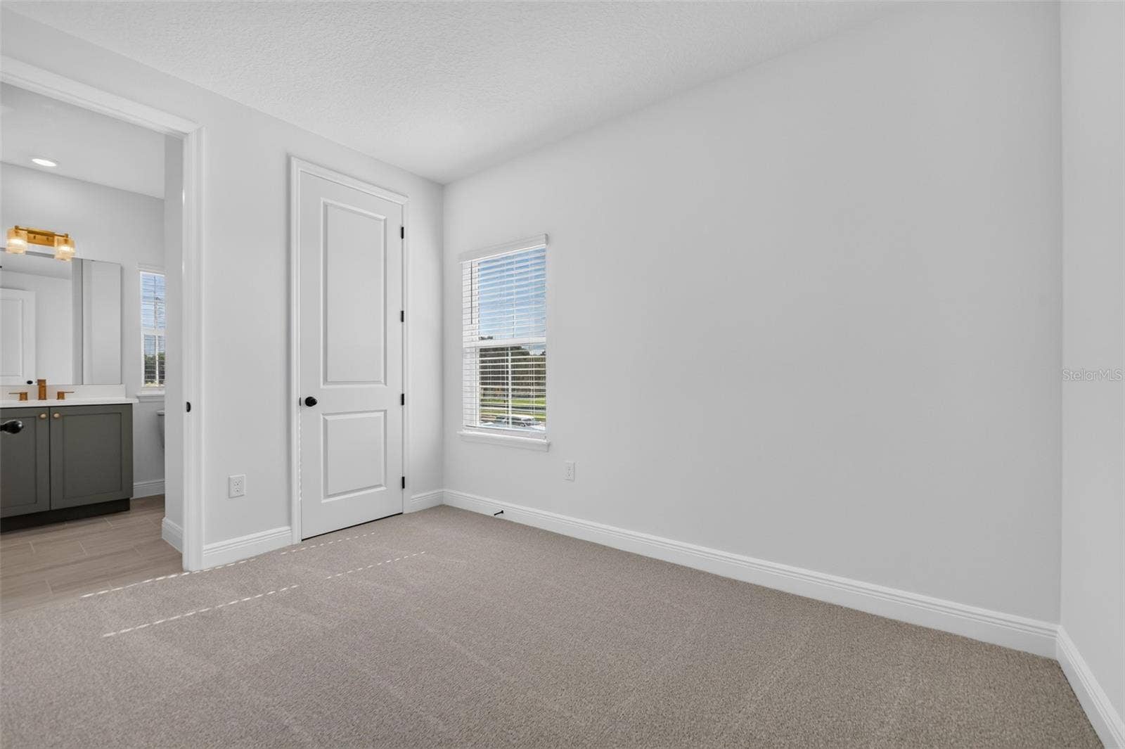 13325 LUSH LIME ALLEY, Windermere, FL 34786