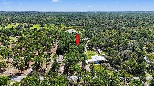 Property photo for 1393 S CANDLENUT AVENUE, Homosassa, FL