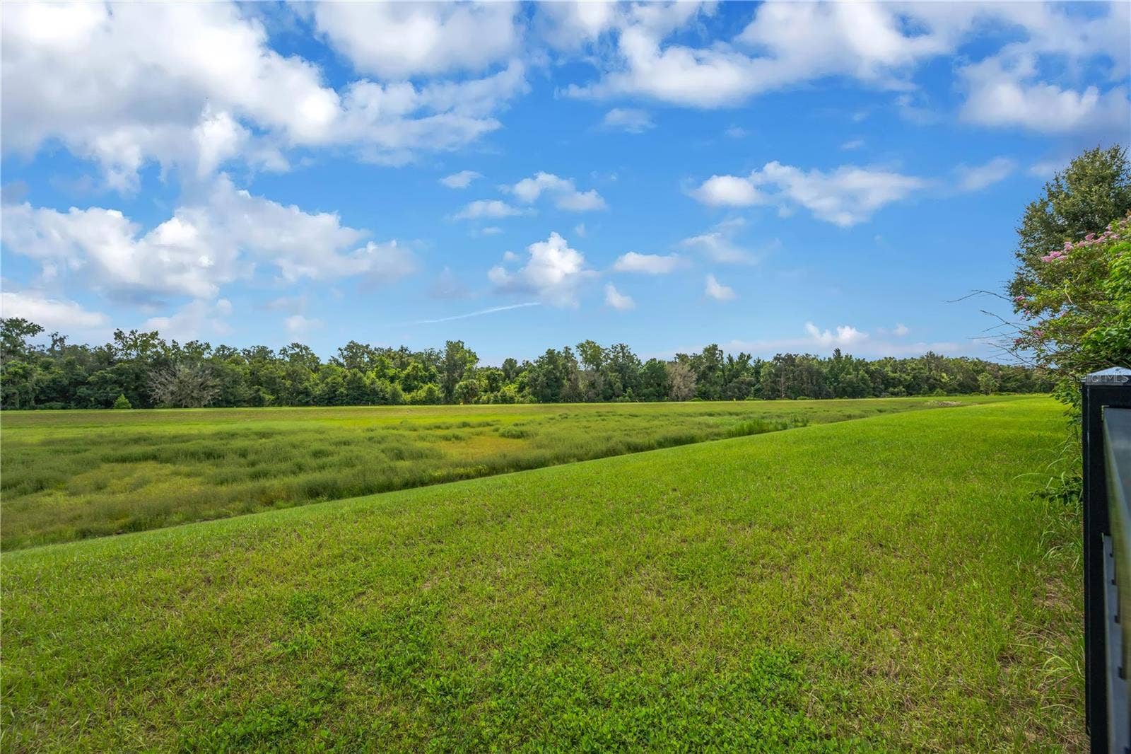 5830 WATERCOLOR DRIVE, Lithia, FL 33547 5830 WATERCOLOR DRIVE, Lithia, FL 33547