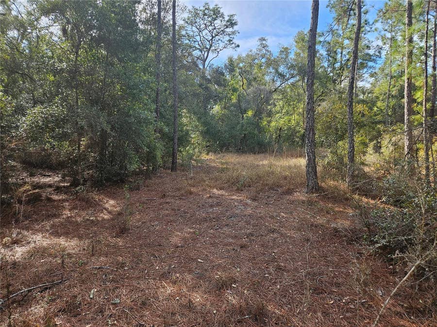 Property photo for ROSEHILL DRIVE, Webster, FL