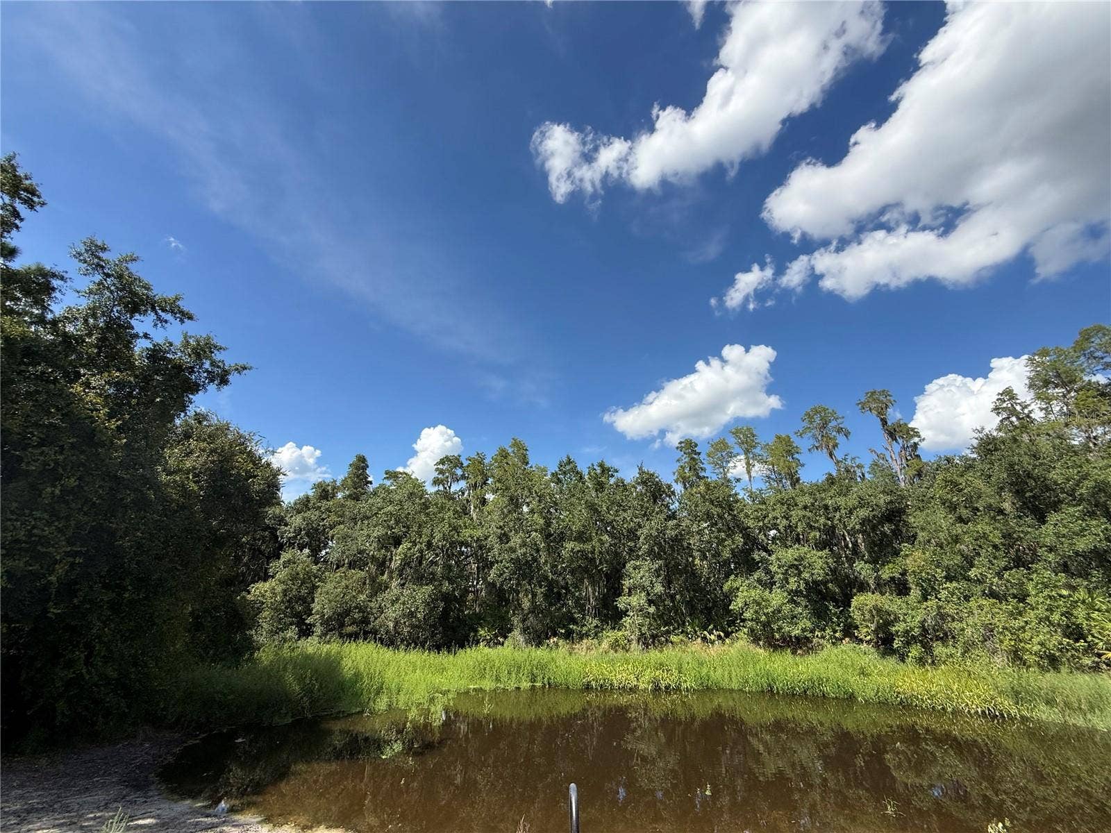 30035 GRANDA HILLS COURT, Wesley Chapel, FL 33543 30035 GRANDA HILLS COURT, Wesley Chapel, FL 33543