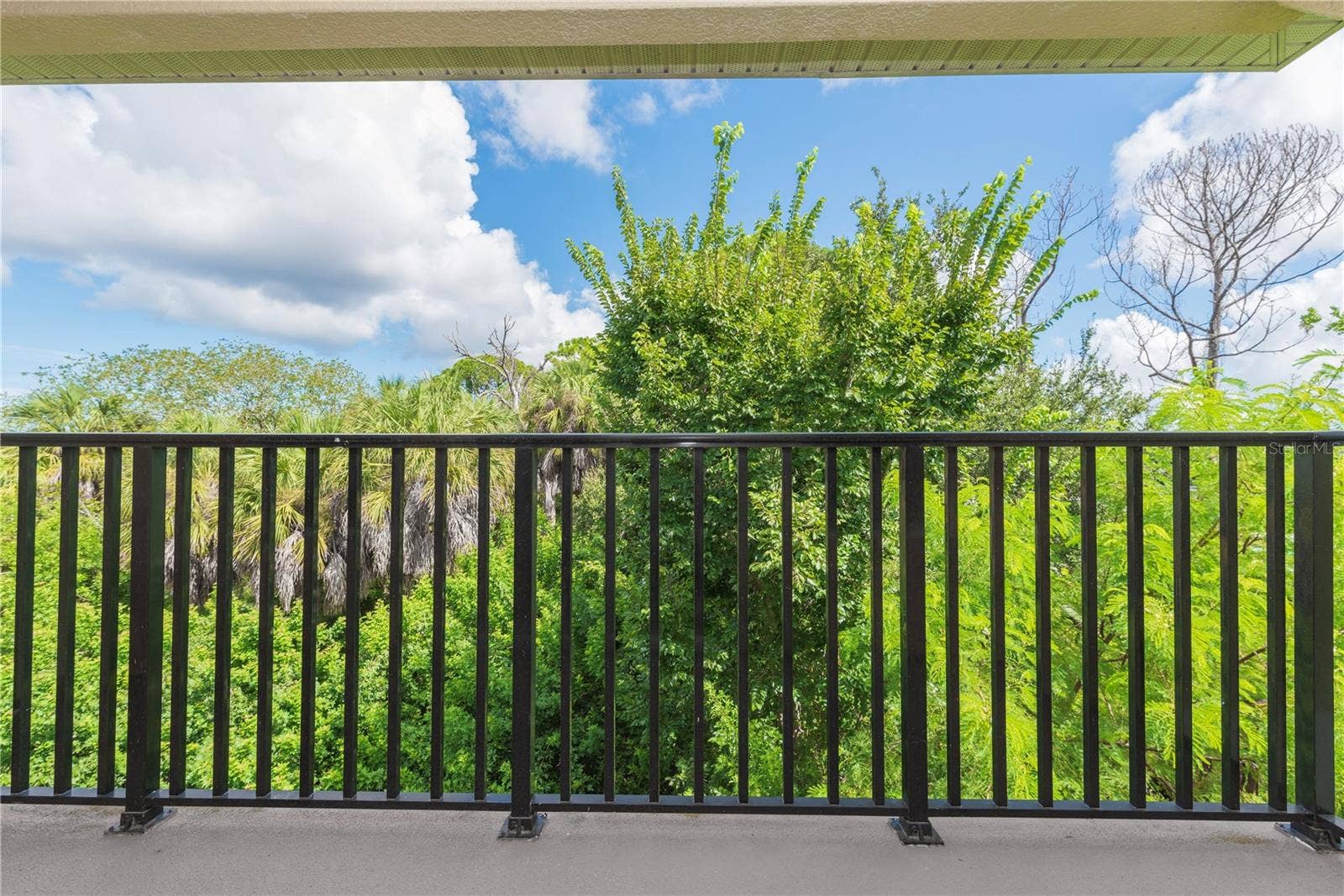 5065 ROYAL PALMS WAY, #303, New Port Richey, FL 34652 View from balcony.