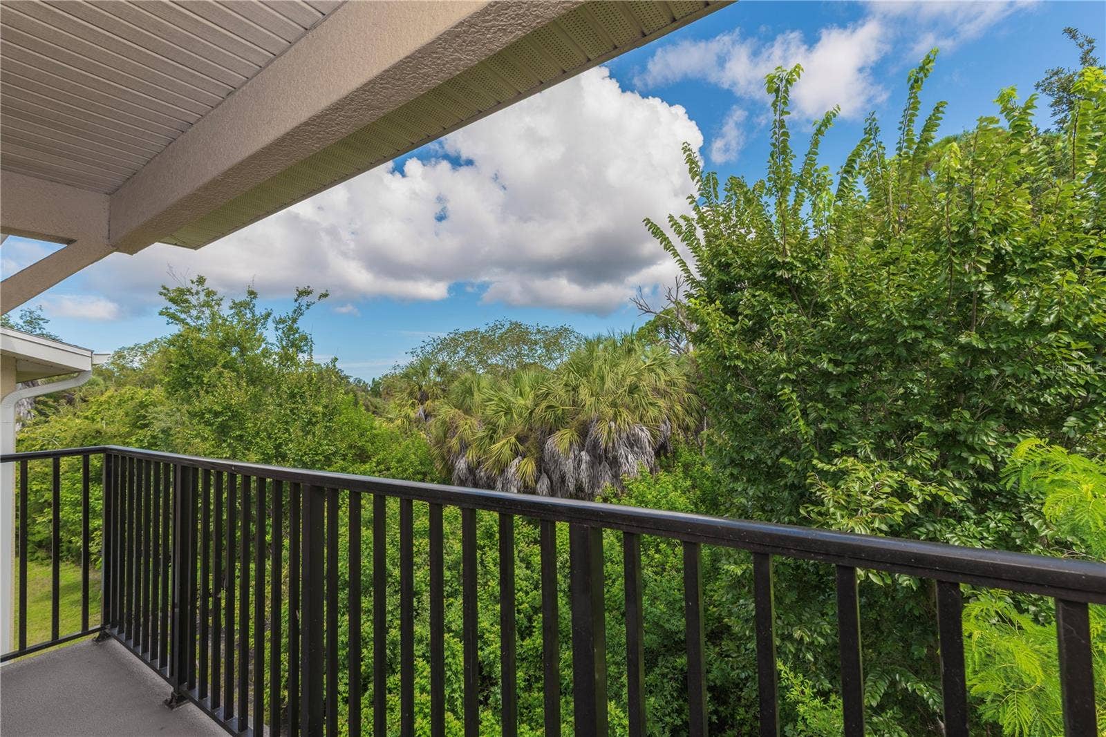 5065 ROYAL PALMS WAY, #303, New Port Richey, FL 34652 View from balcony.