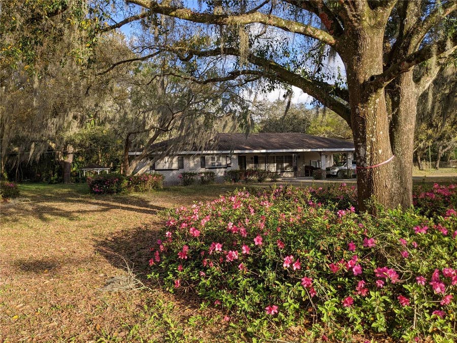 Property photo for 11215 DAVIS ROAD, Tampa, FL