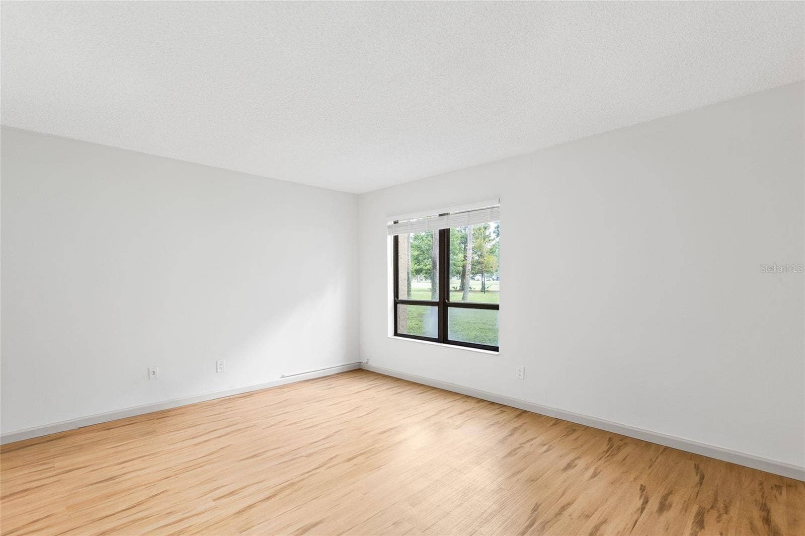 13626 GREENFIELD DRIVE, #109, Tampa, FL 33618 Primary Suite