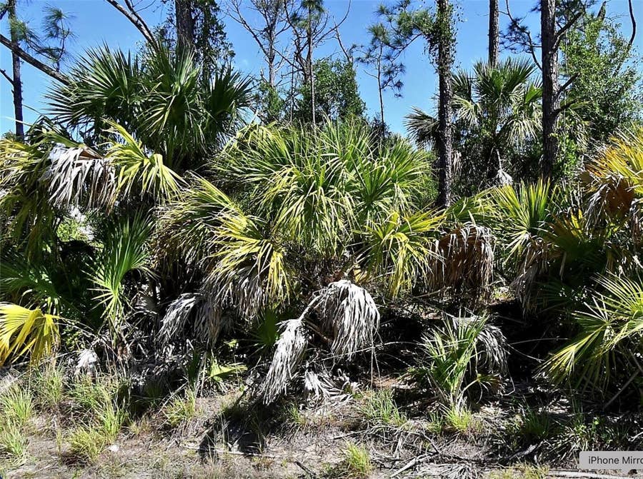 Property photo for GUTTENBURG ROAD, North Port, FL