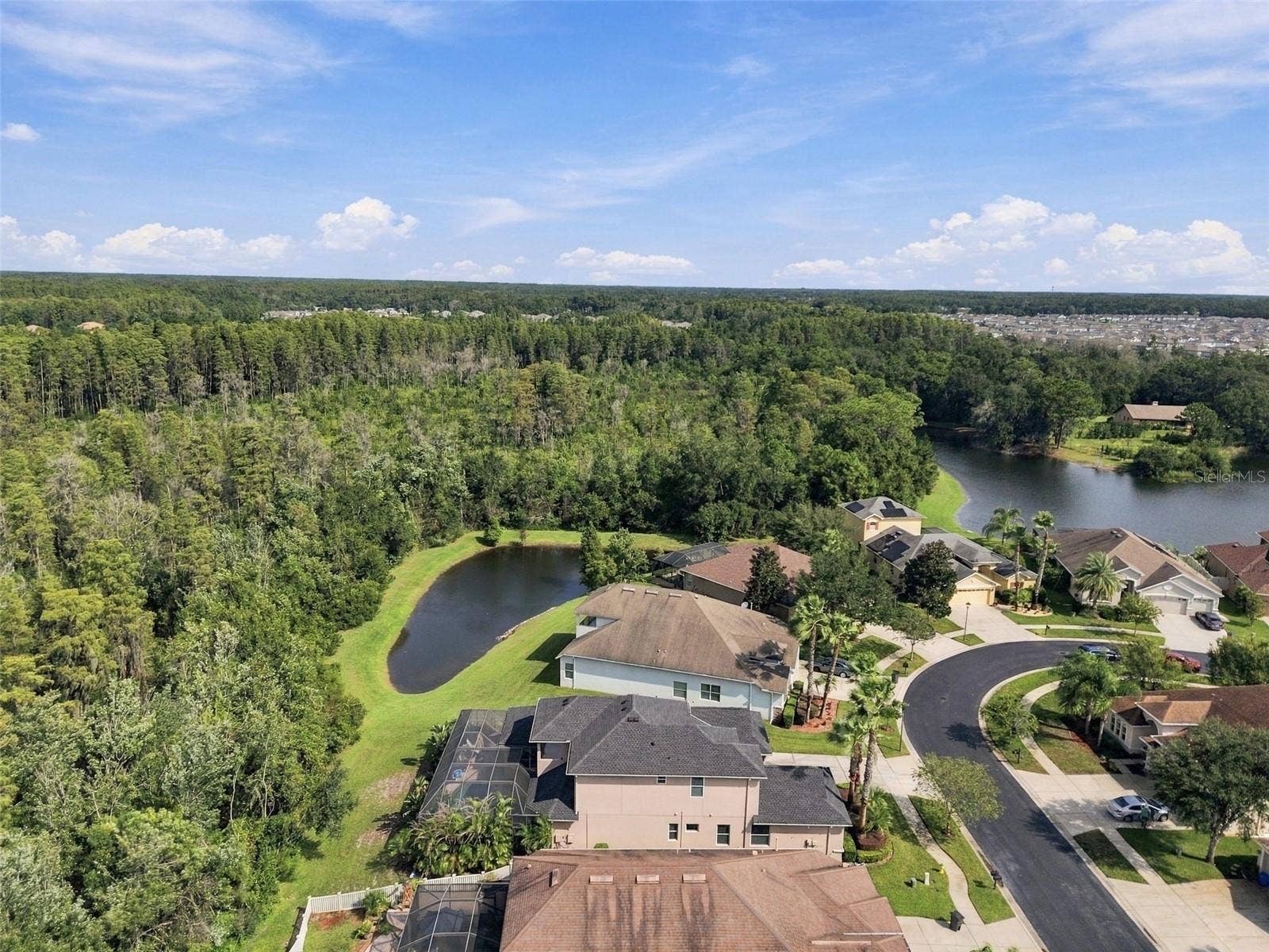 3339 DIAMOND FALLS CIRCLE, Land O Lakes, FL 34638