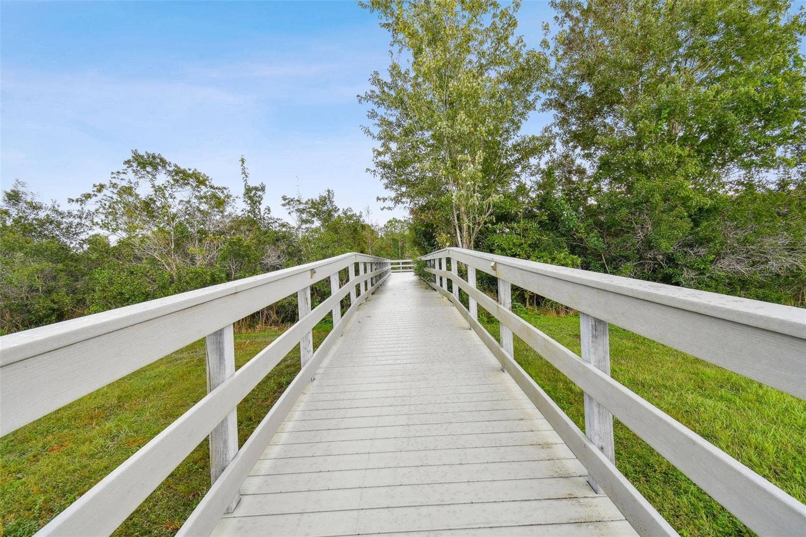 3339 DIAMOND FALLS CIRCLE, Land O Lakes, FL 34638