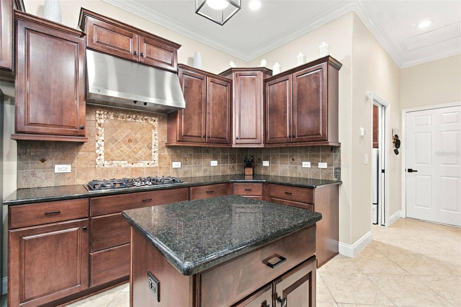 3339 DIAMOND FALLS CIRCLE, Land O Lakes, FL 34638