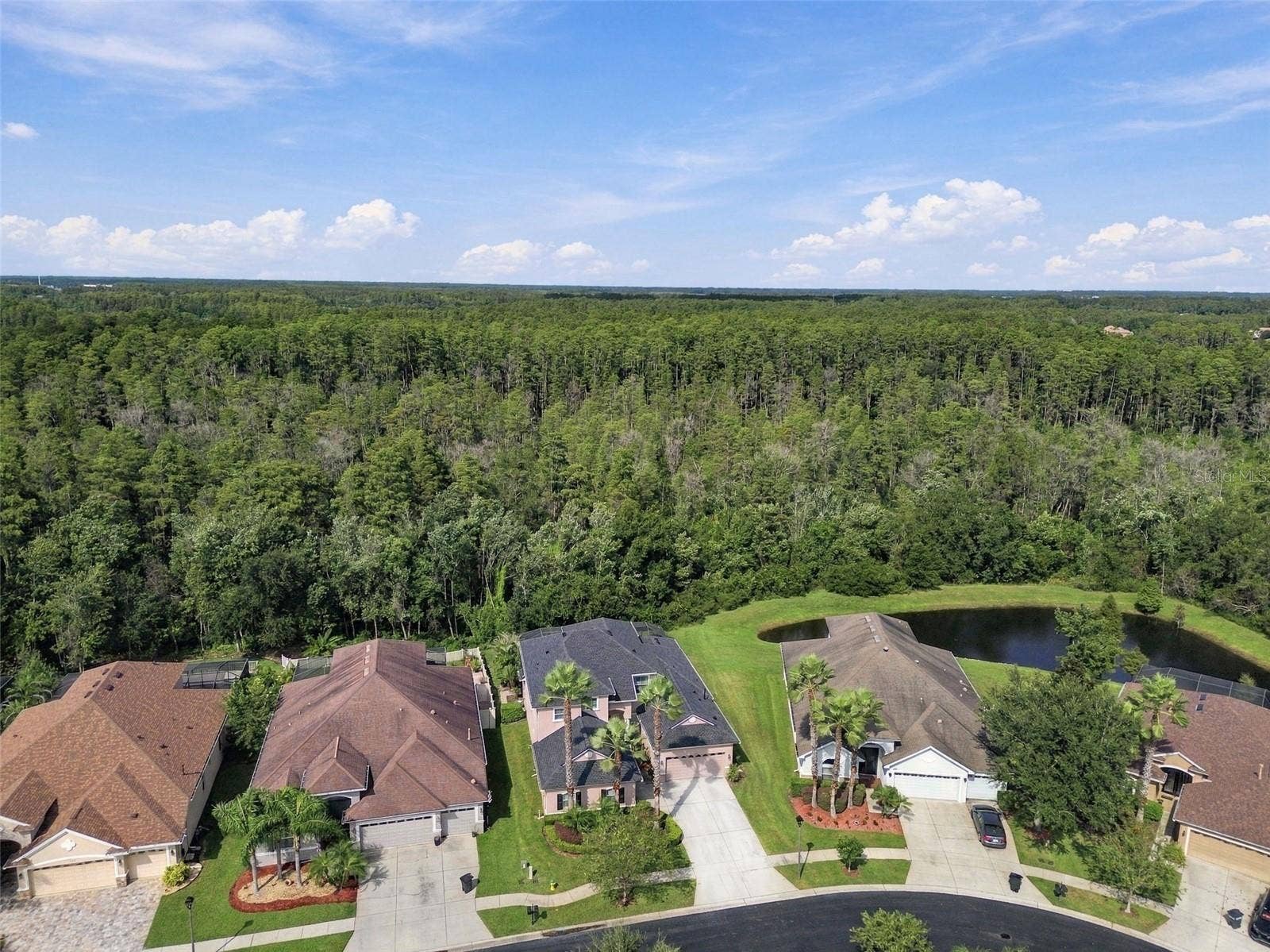 3339 DIAMOND FALLS CIRCLE, Land O Lakes, FL 34638