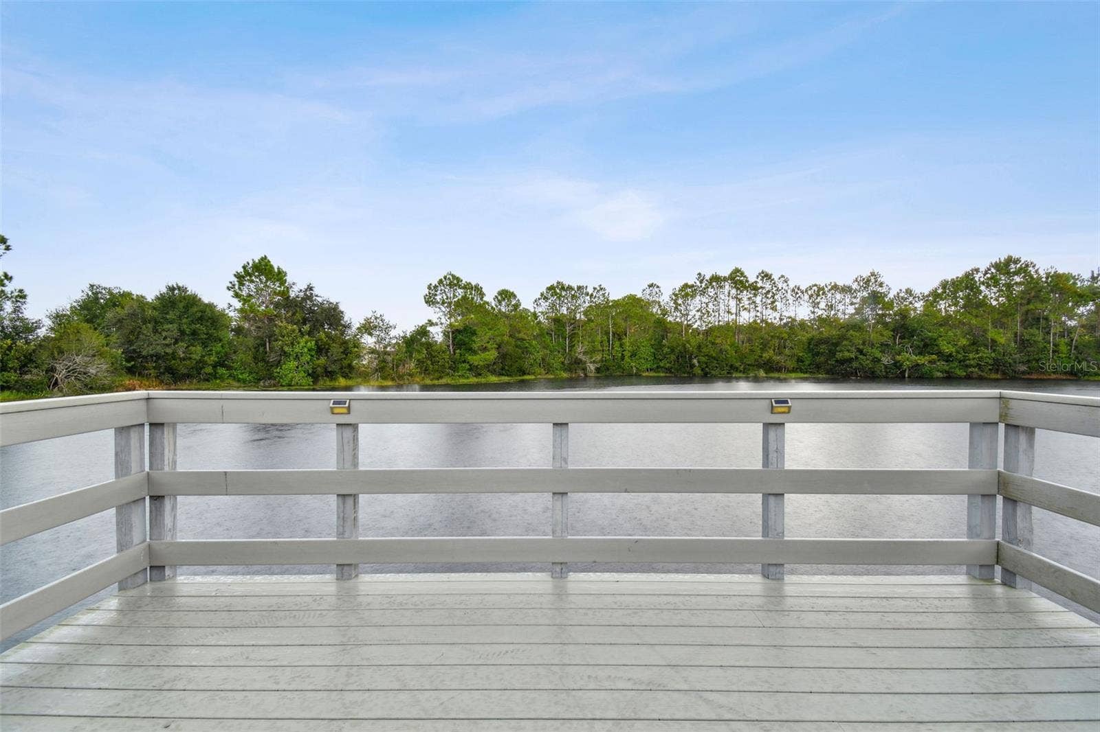 3339 DIAMOND FALLS CIRCLE, Land O Lakes, FL 34638