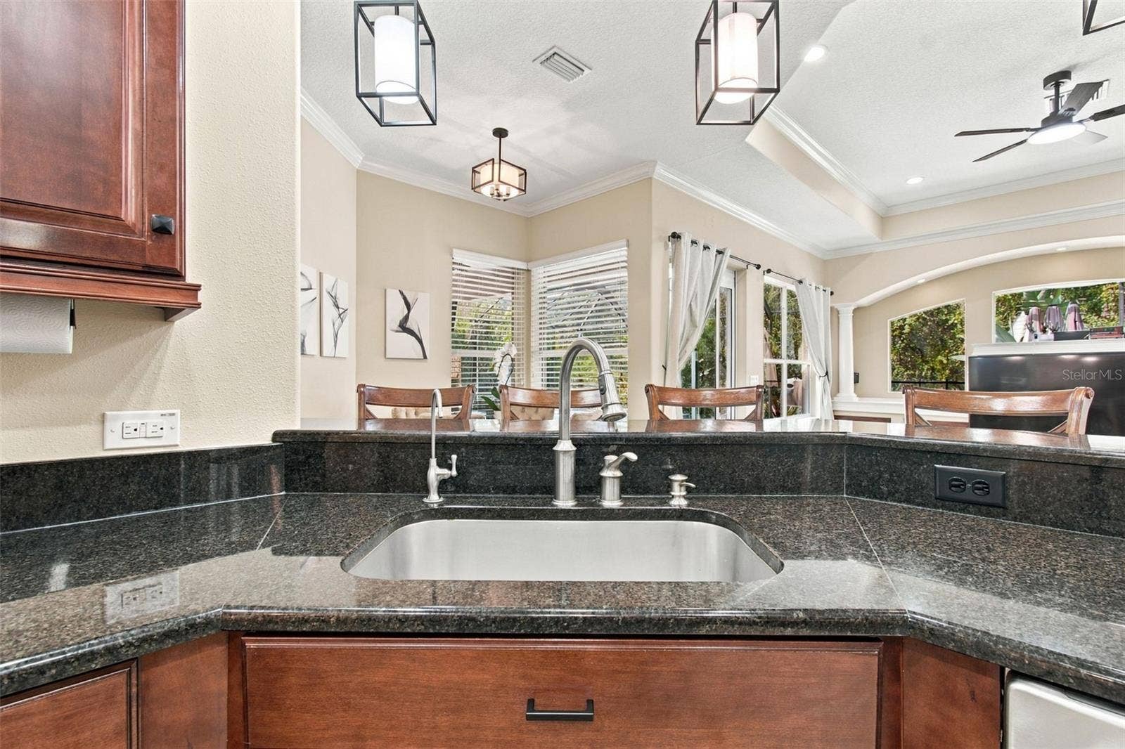 3339 DIAMOND FALLS CIRCLE, Land O Lakes, FL 34638