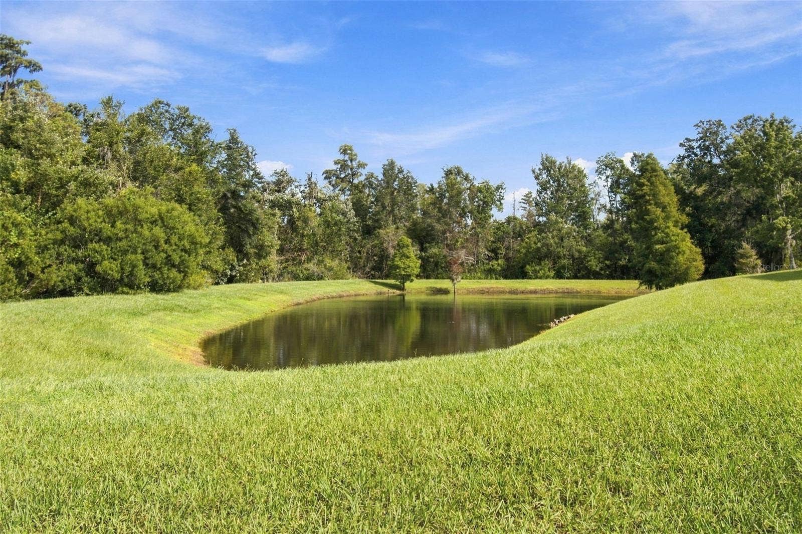 3339 DIAMOND FALLS CIRCLE, Land O Lakes, FL 34638