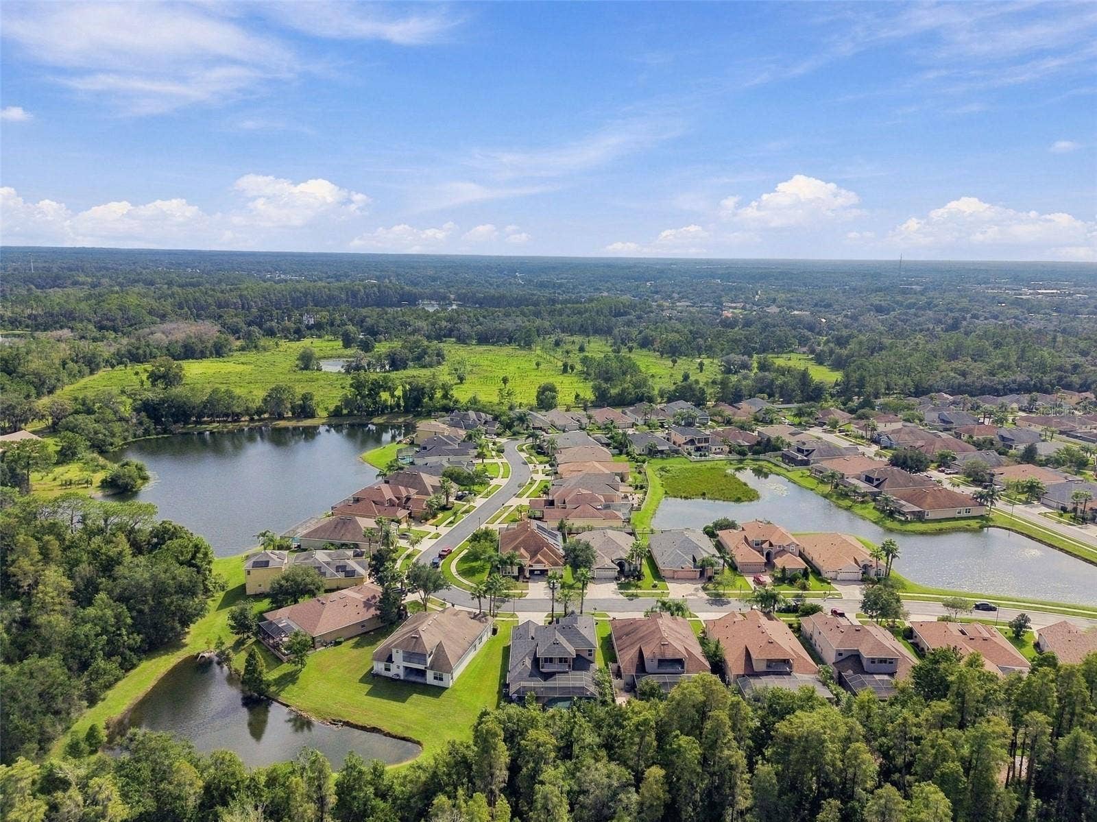 3339 DIAMOND FALLS CIRCLE, Land O Lakes, FL 34638