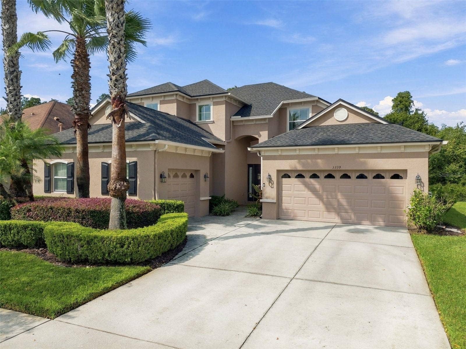 3339 DIAMOND FALLS CIRCLE, Land O Lakes, FL 34638