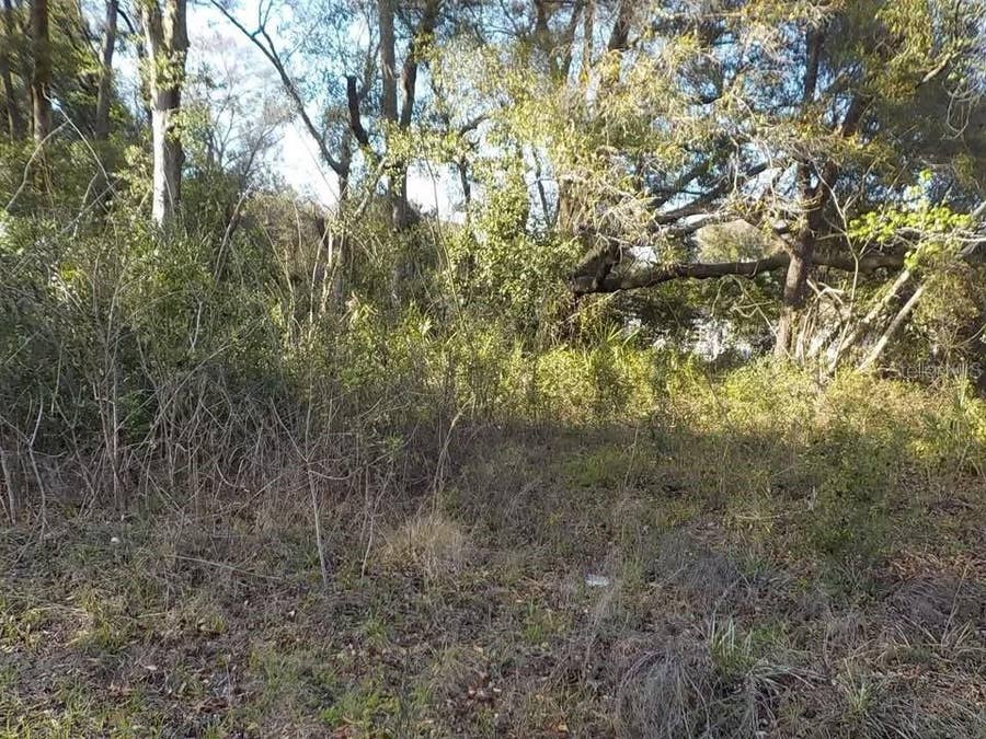 Property photo for 0 SE 139TH LANE, #LOT 43, Summerfield, FL