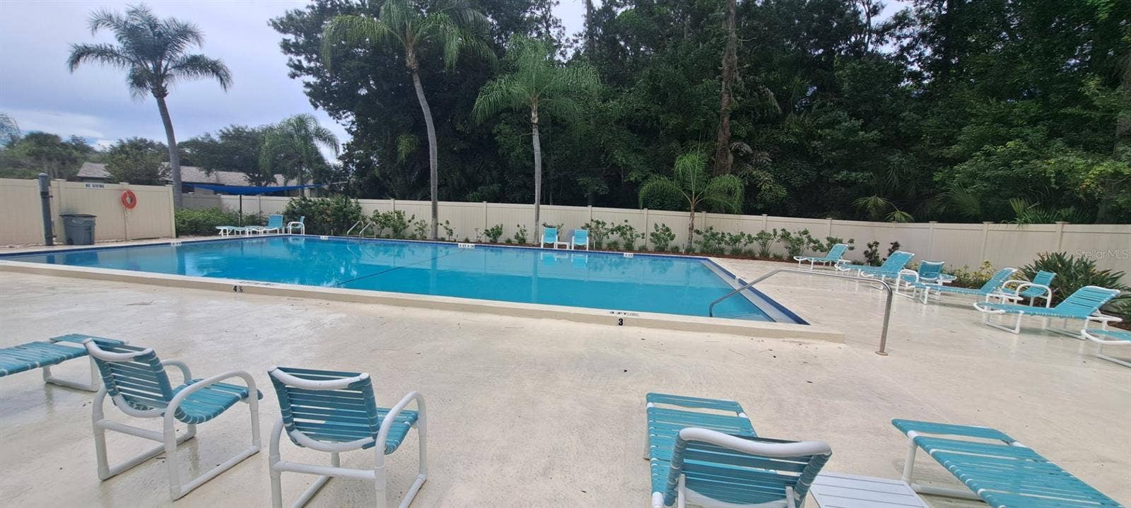 60 KAY COURT, Oldsmar, FL 34677 Heated lap pool