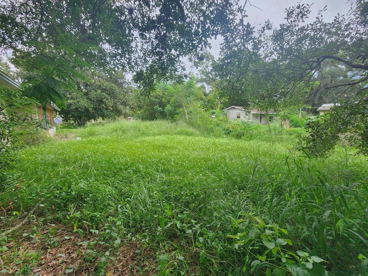 2407 SUMMER HOLLOW DRIVE, Auburndale, FL 33823 2407 SUMMER HOLLOW DRIVE, Auburndale, FL 33823