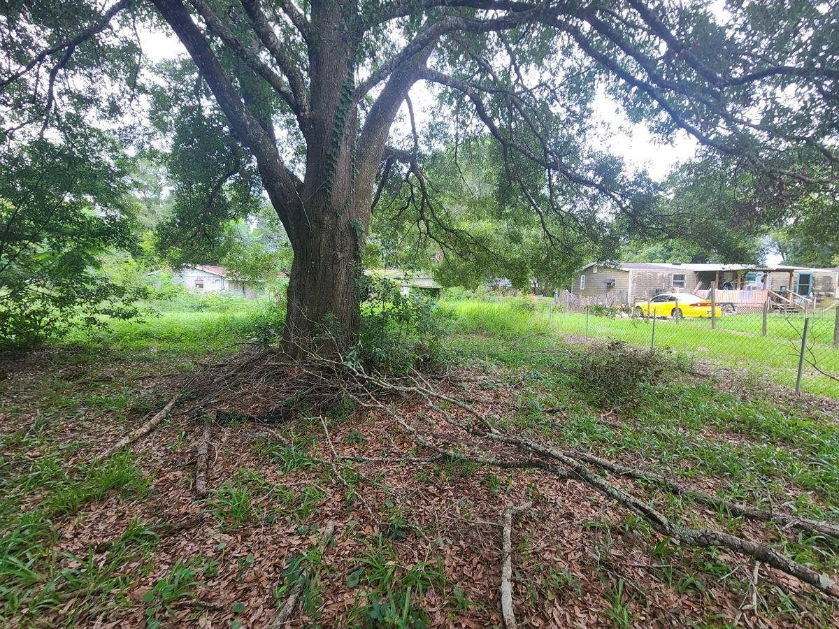 2407 SUMMER HOLLOW DRIVE, Auburndale, FL 33823 2407 SUMMER HOLLOW DRIVE, Auburndale, FL 33823