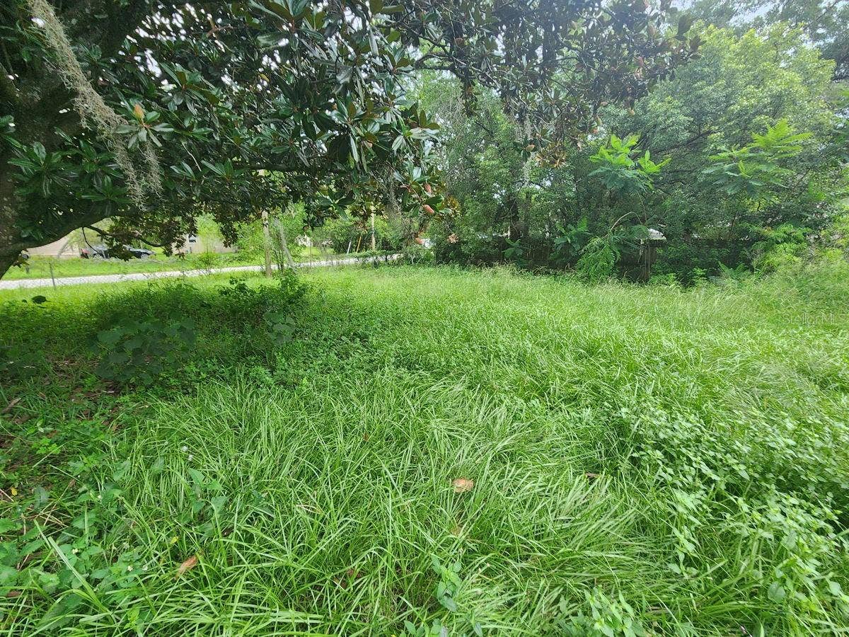 2407 SUMMER HOLLOW DRIVE, Auburndale, FL 33823 2407 SUMMER HOLLOW DRIVE, Auburndale, FL 33823