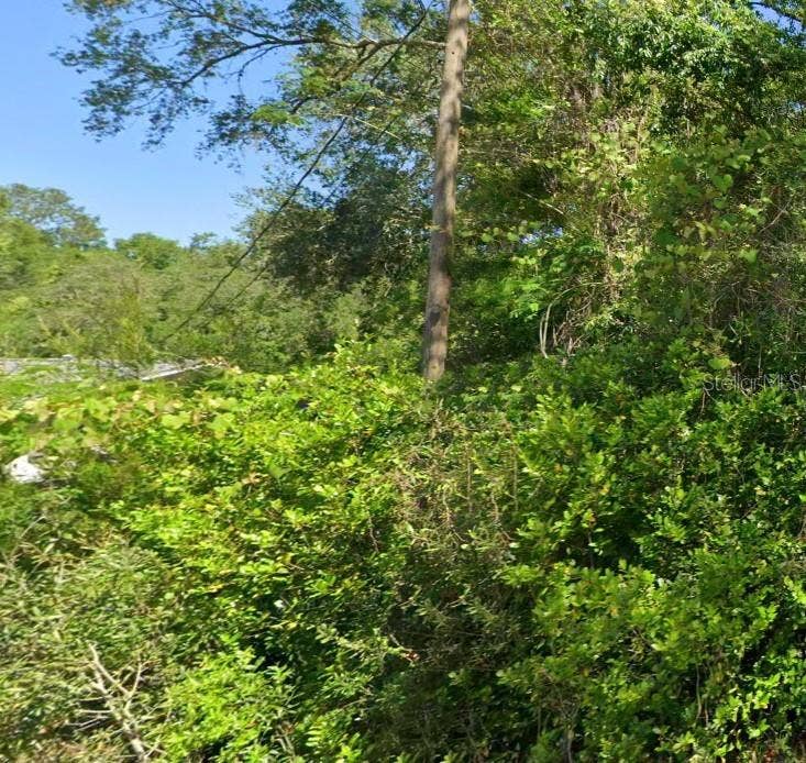 19667 FLAMINGO DRIVE, Dunnellon, FL 34431 19667 FLAMINGO DRIVE, Dunnellon, FL 34431