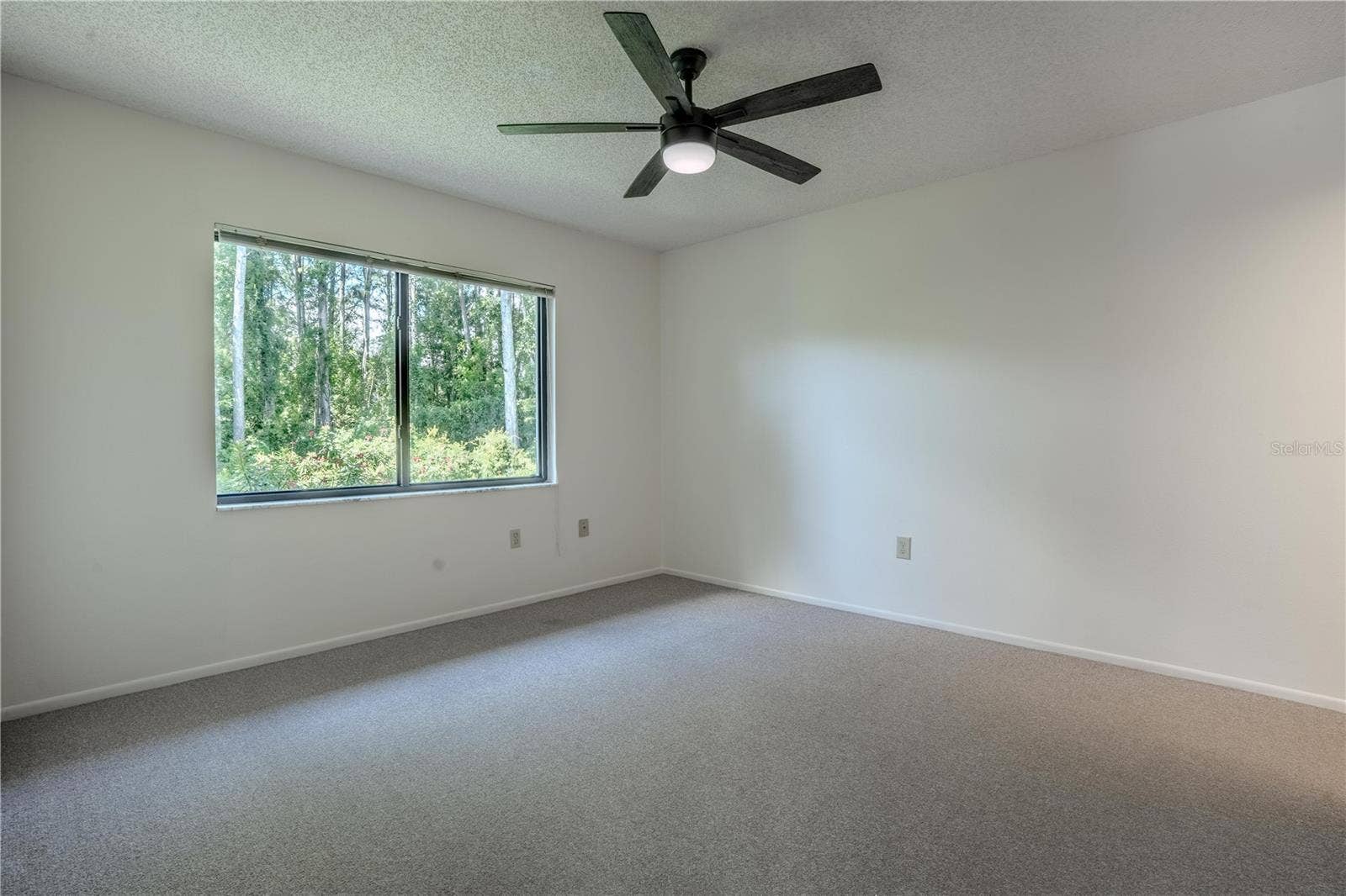 612 BALDWIN AVENUE, #C, Safety Harbor, FL 34695