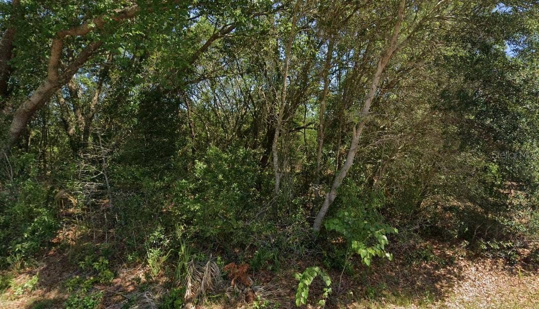 19901 FLAMINGO DRIVE, Dunnellon, FL 34431 19901 FLAMINGO DRIVE, Dunnellon, FL 34431