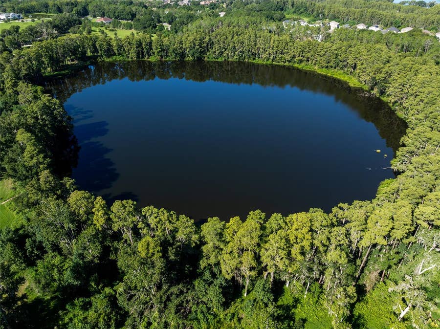 Property photo for TBD COLLIER PARKWAY, Land O Lakes, FL