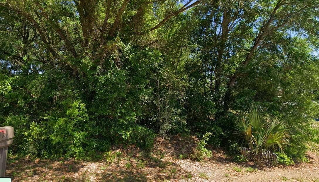 19801 FLAMINGO DRIVE, Dunnellon, FL 34431
