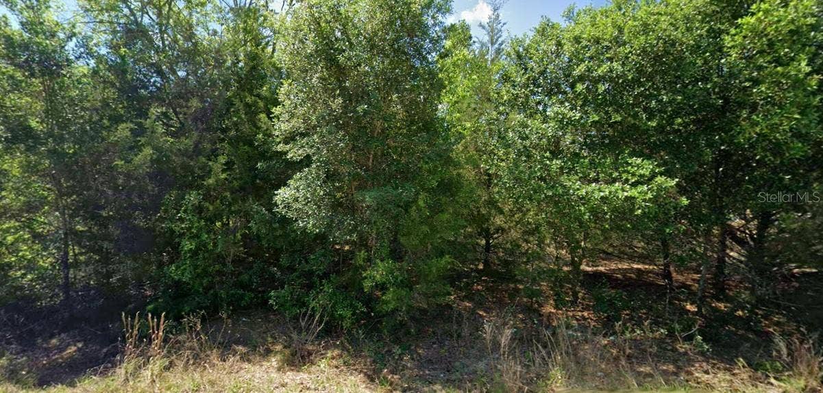 20120 MARINE BOULEVARD, Dunnellon, FL 34431 20120 MARINE BOULEVARD, Dunnellon, FL 34431