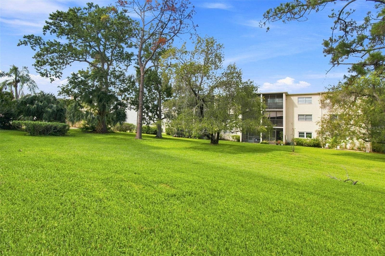 1370 HEATHER RIDGE BOULEVARD, #104, Dunedin, FL 34698 1370 HEATHER RIDGE BOULEVARD, #104, Dunedin, FL 34698