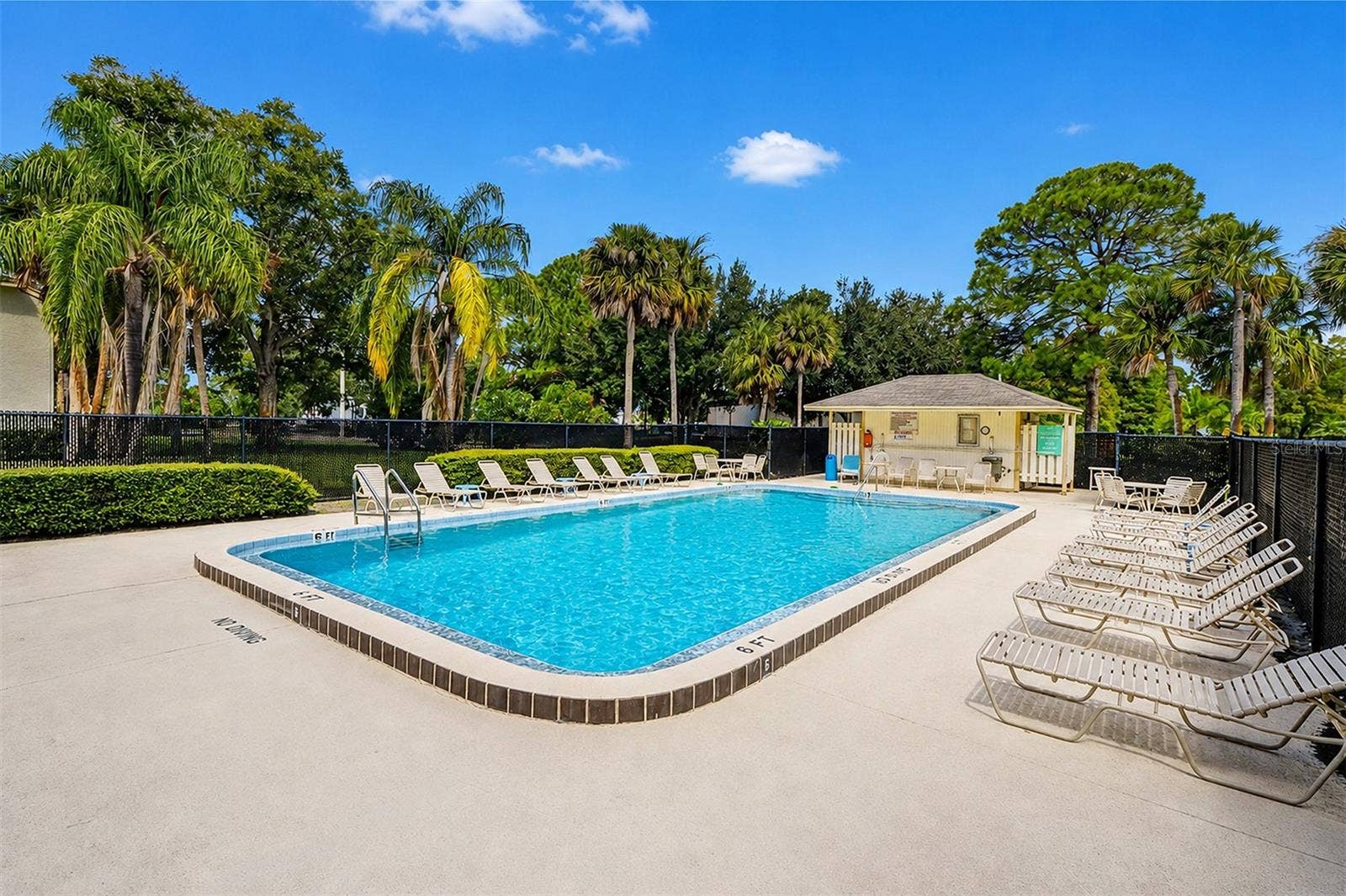 205 PALMETTO COURT, #205, Oldsmar, FL 34677 205 PALMETTO COURT, #205, Oldsmar, FL 34677