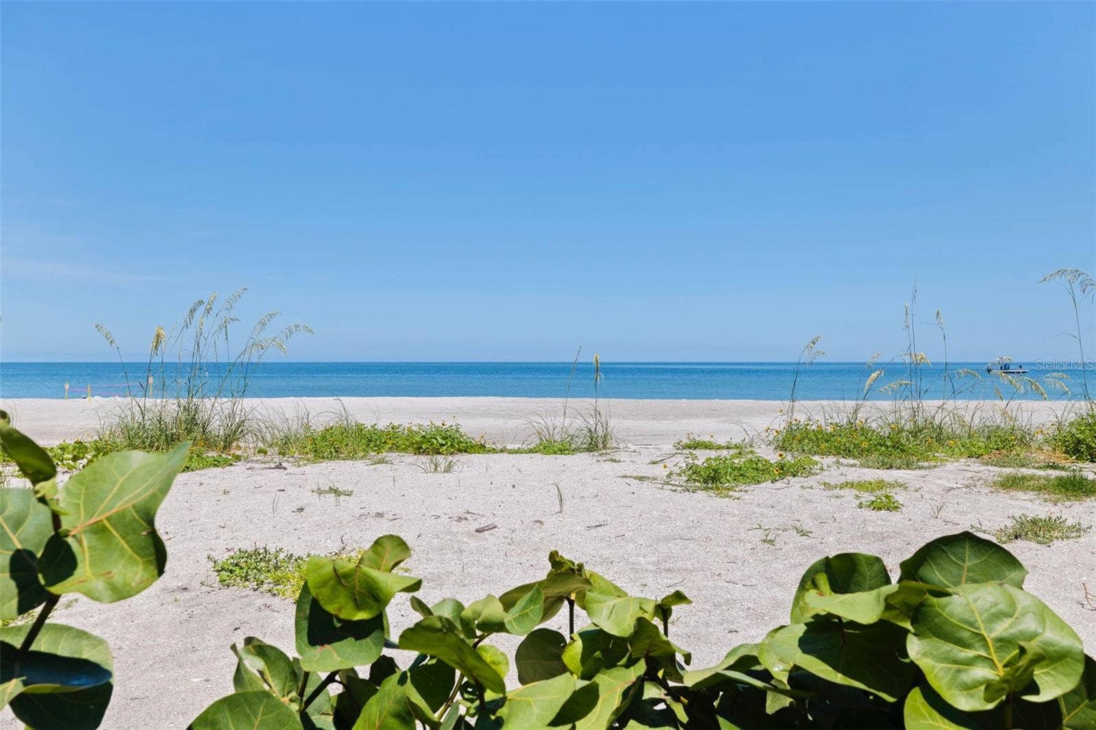 1520 GULF BOULEVARD, #1901, Clearwater, FL 33767 1520 GULF BOULEVARD, #1901, Clearwater, FL 33767