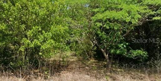 19949 RAINBOW LAKES BOULEVARD, Dunnellon, FL 34431 19949 RAINBOW LAKES BOULEVARD, Dunnellon, FL 34431