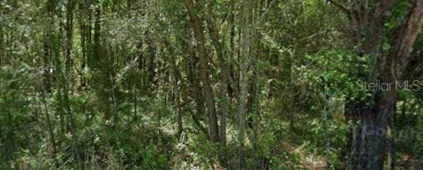20550 MARINE BOULEVARD, Dunnellon, FL 34431 20550 MARINE BOULEVARD, Dunnellon, FL 34431