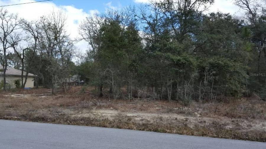 Property photo for 0 SE 88TH CT, Summerfield, FL