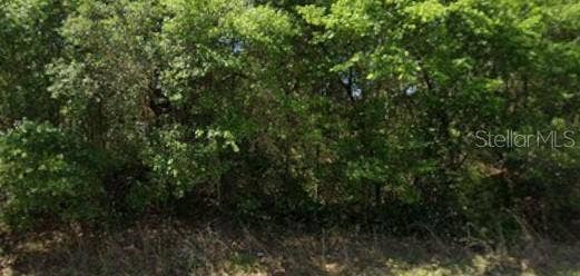 21540 MARINE BOULEVARD, Dunnellon, FL 34431 21540 MARINE BOULEVARD, Dunnellon, FL 34431