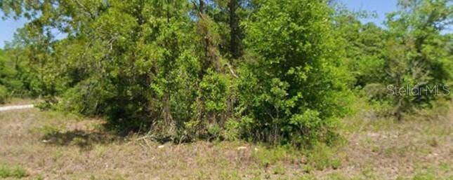21943 RAINBOW LAKES BOULEVARD, Dunnellon, FL 34431 21943 RAINBOW LAKES BOULEVARD, Dunnellon, FL 34431