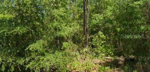 21425 RAINBOW LAKES BOULEVARD, Dunnellon, FL 34431 21425 RAINBOW LAKES BOULEVARD, Dunnellon, FL 34431