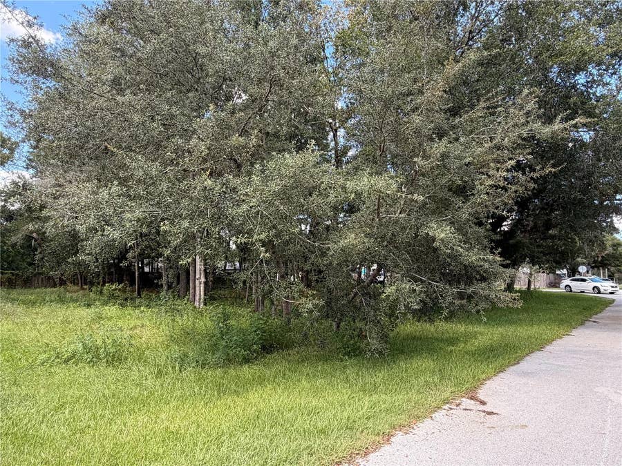 Property photo for 7457 W TURKEYNECK COURT, Homosassa, FL