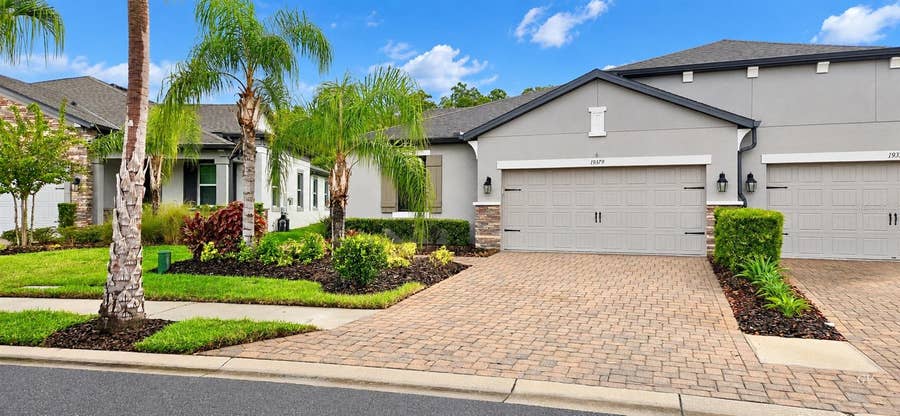 Property photo for 19379 HAWK VALLEY DRIVE, Tampa, FL