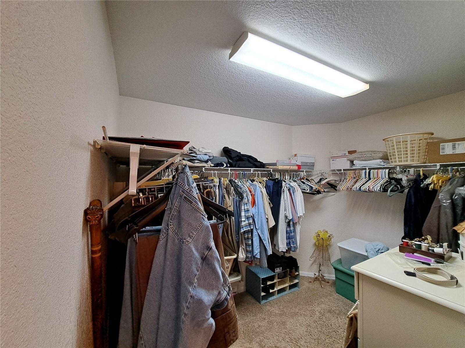 5316 LOCHMEAD TERRACE, Zephyrhills, FL 33541 master closet