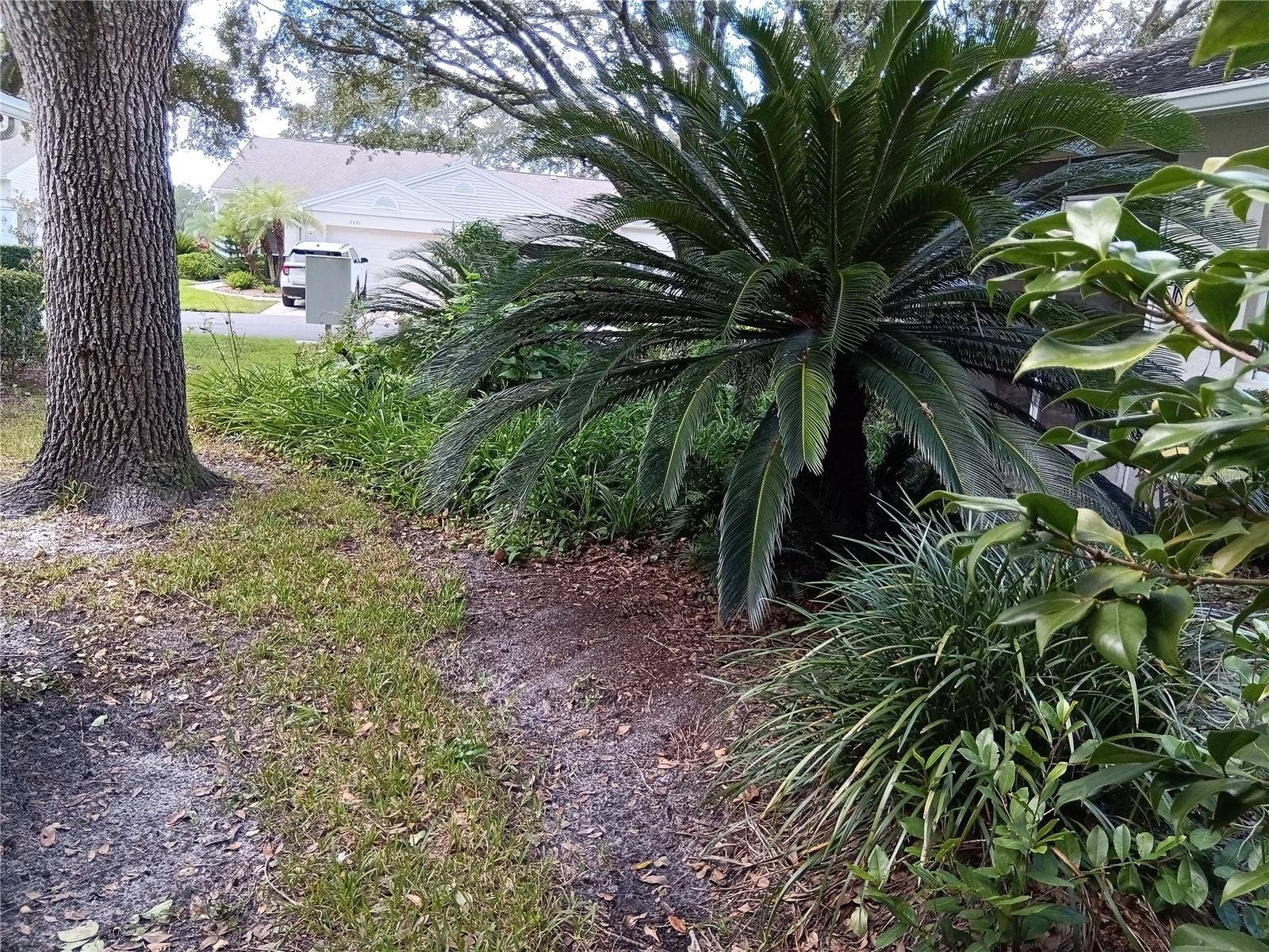 5316 LOCHMEAD TERRACE, Zephyrhills, FL 33541 5316 LOCHMEAD TERRACE, Zephyrhills, FL 33541