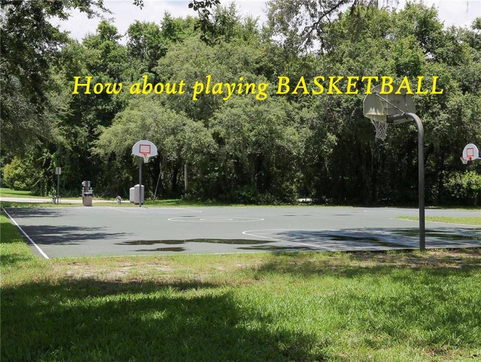 5316 LOCHMEAD TERRACE, Zephyrhills, FL 33541 5316 LOCHMEAD TERRACE, Zephyrhills, FL 33541
