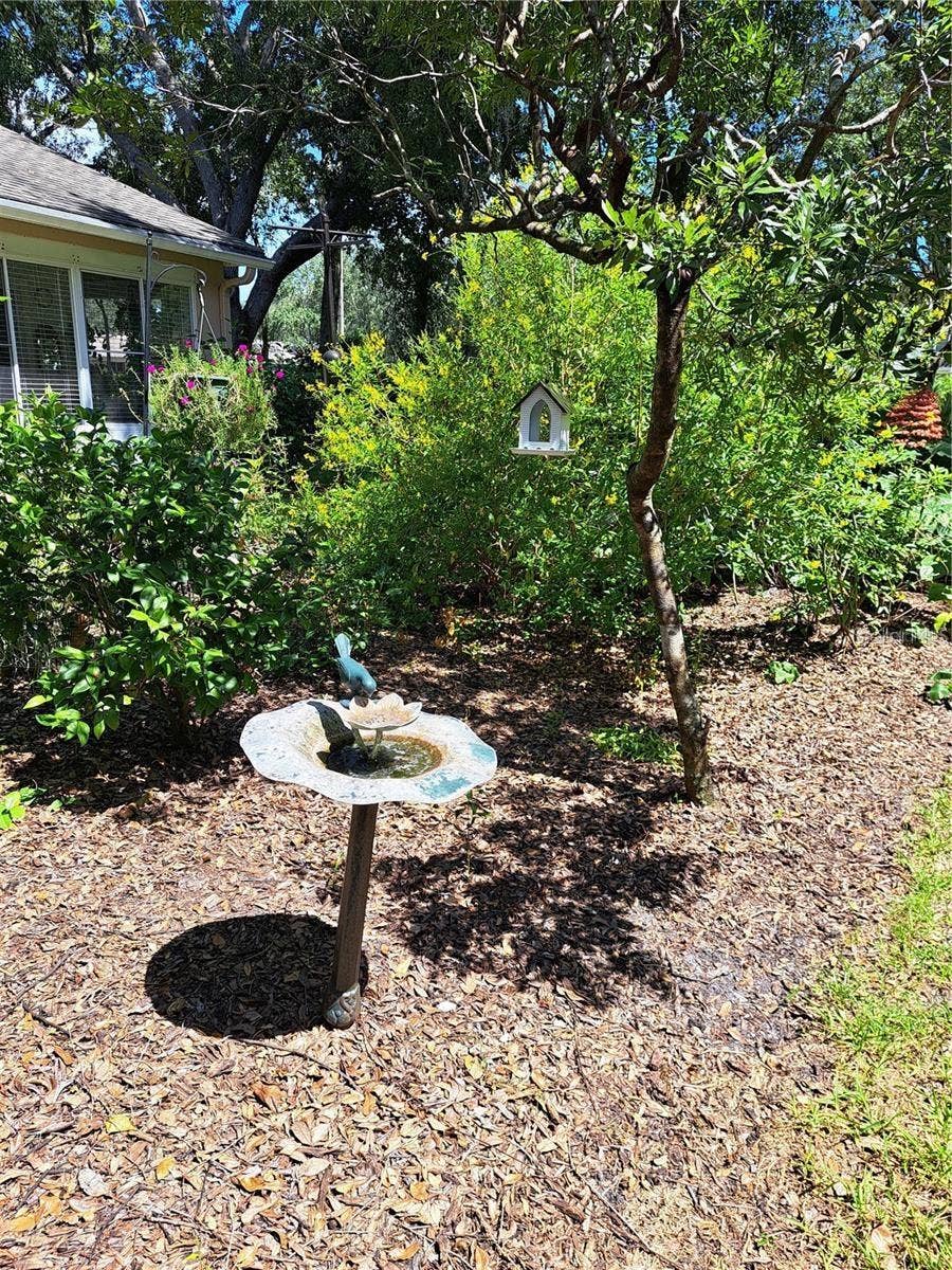 5316 LOCHMEAD TERRACE, Zephyrhills, FL 33541 Garden close to back porch