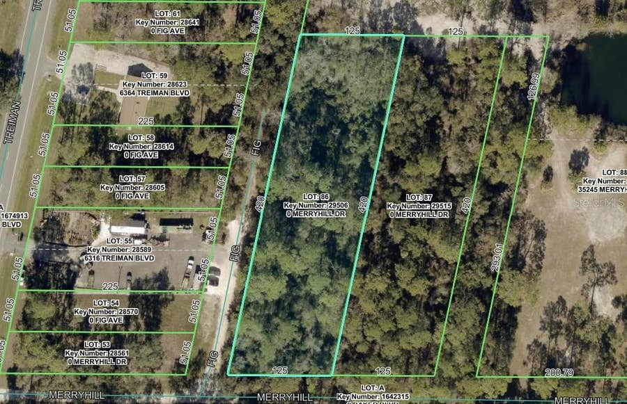 Property photo for MERRYHILL DRIVE, Webster, FL