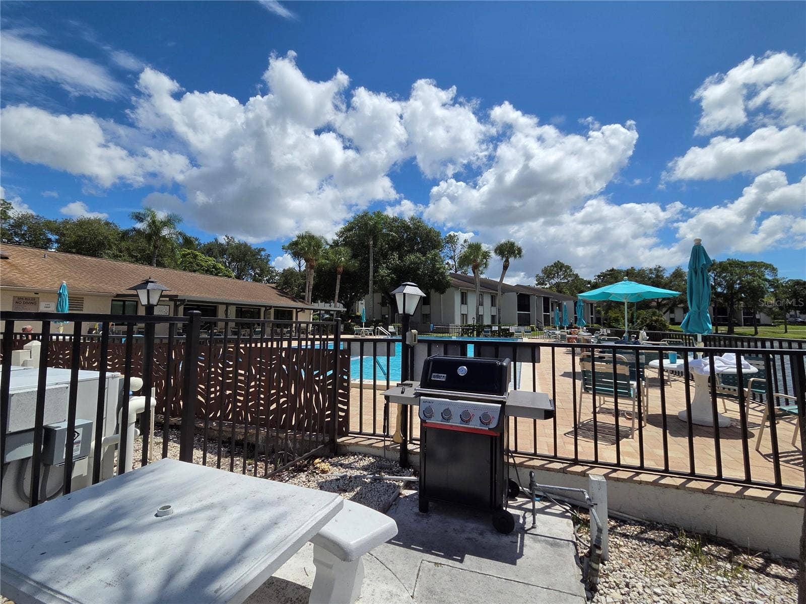 1700 PINE RIDGE WAY E, #C1, Palm Harbor, FL 34684 1700 PINE RIDGE WAY E, #C1, Palm Harbor, FL 34684