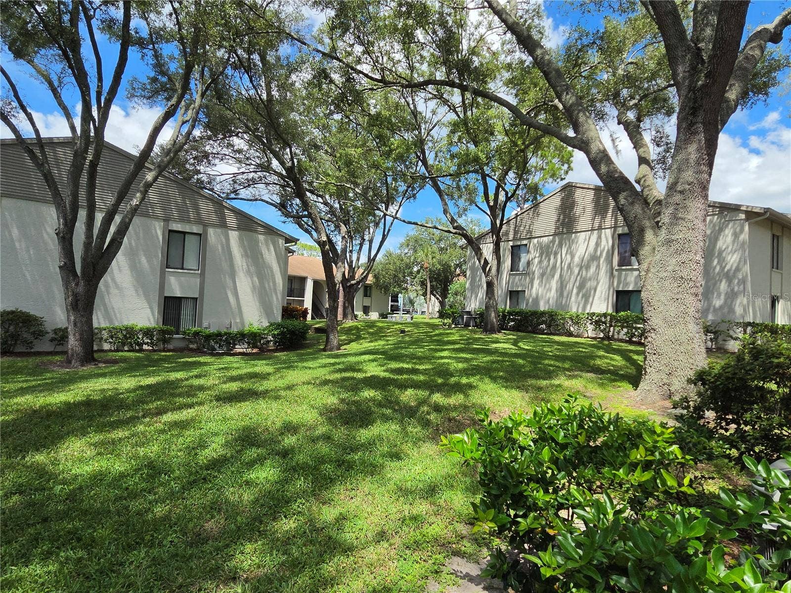 1700 PINE RIDGE WAY E, #C1, Palm Harbor, FL 34684 1700 PINE RIDGE WAY E, #C1, Palm Harbor, FL 34684
